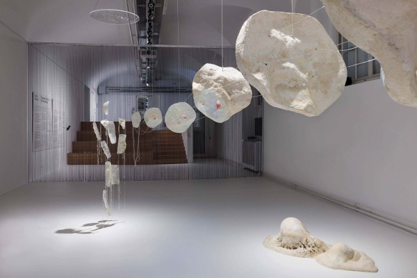 Ausstellungsraum mit weißen Wänden, darin aufgestellt, hängend und an der Wand: 40.000-fachen Vergrößerung einer Amöbe