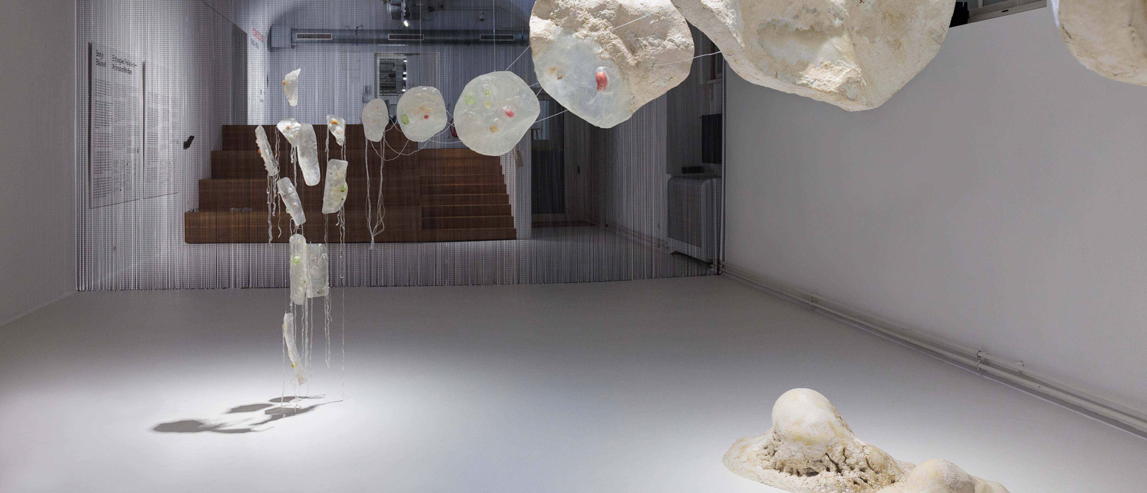 Ausstellungsraum mit weißen Wänden, darin aufgestellt, hängend und an der Wand: 40.000-fachen Vergrößerung einer Amöbe