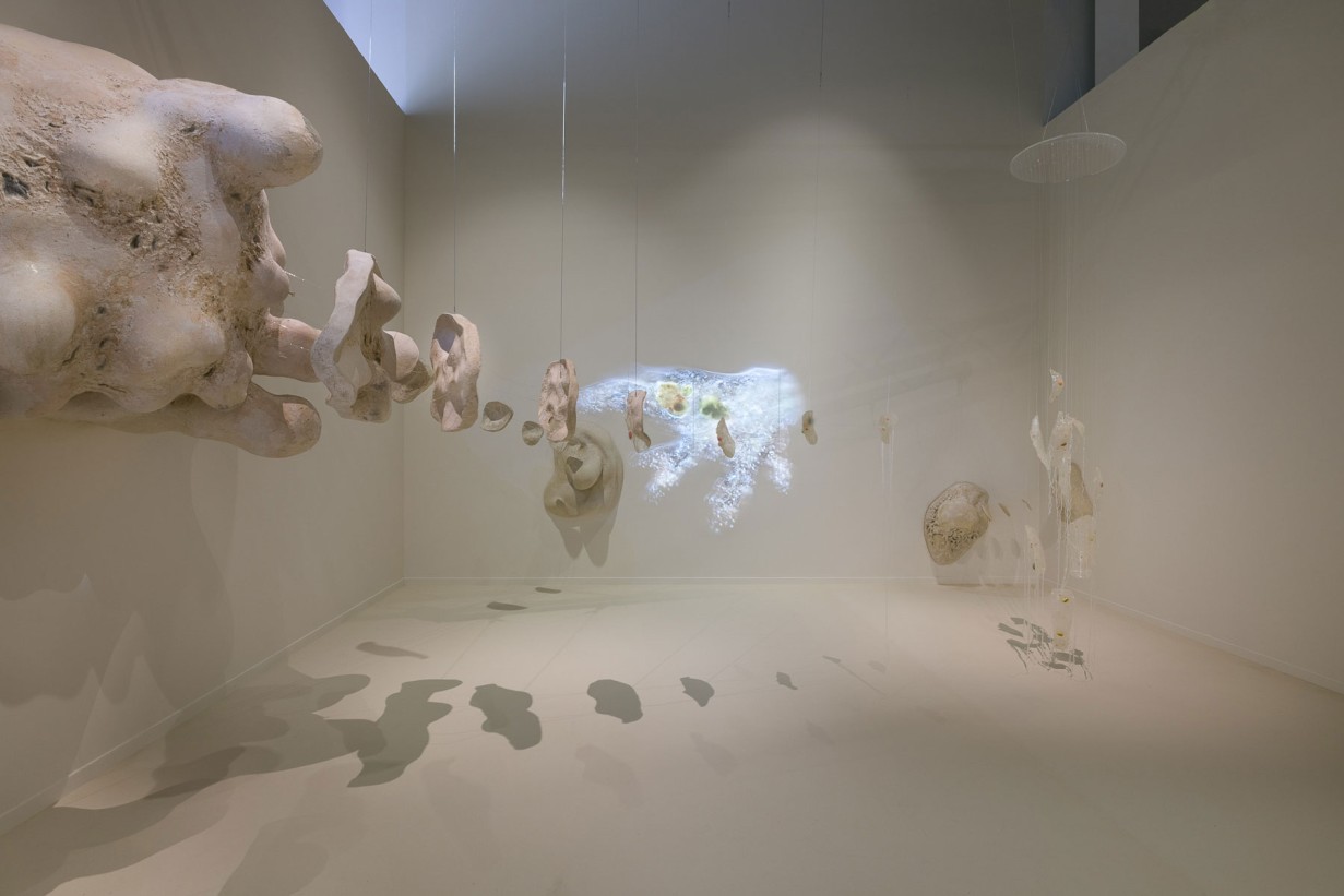 Ausstellungsraum mit Installation: 40.000-fache Vergrößerung einer Amöbe