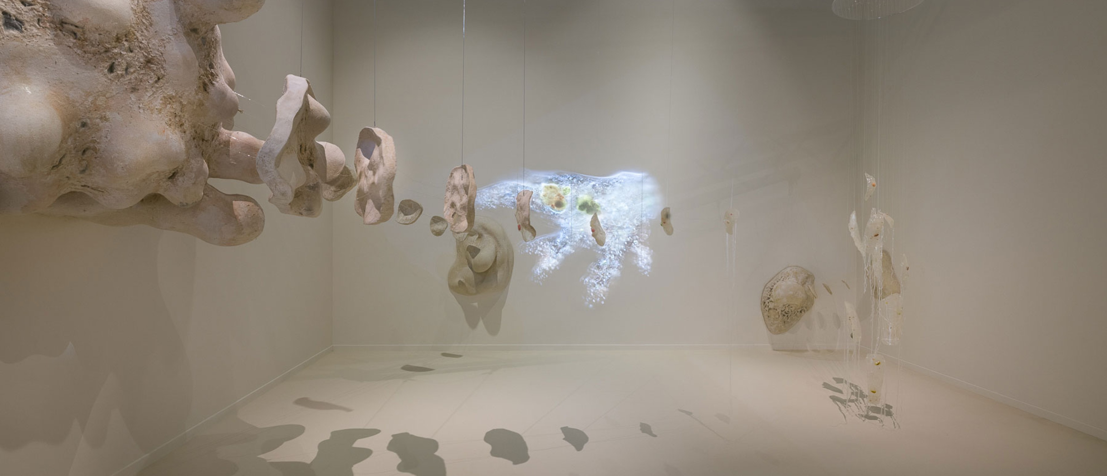 Ausstellungsraum mit Installation: 40.000-fache Vergrößerung einer Amöbe