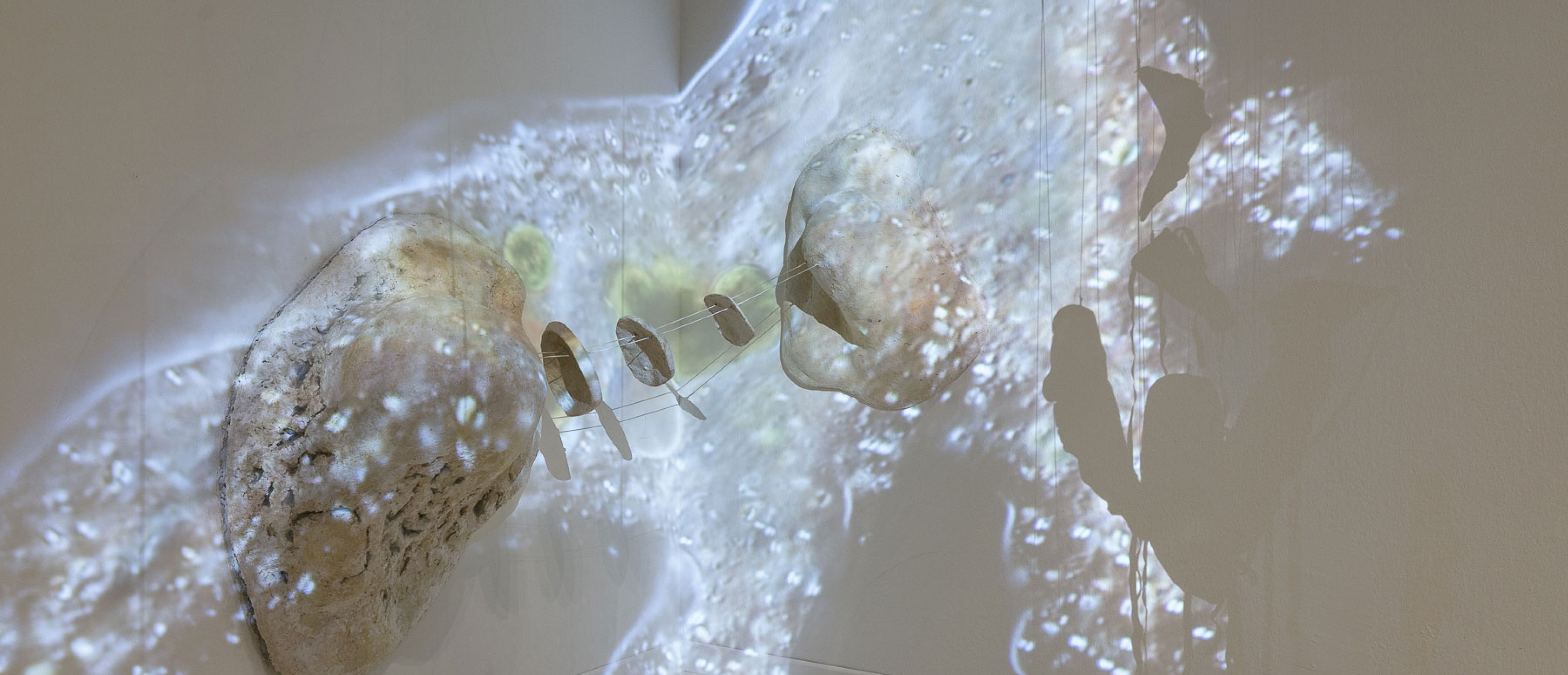 Ausstellungsraum mit Installation: 40.000-fache Vergrößerung einer Amöbe