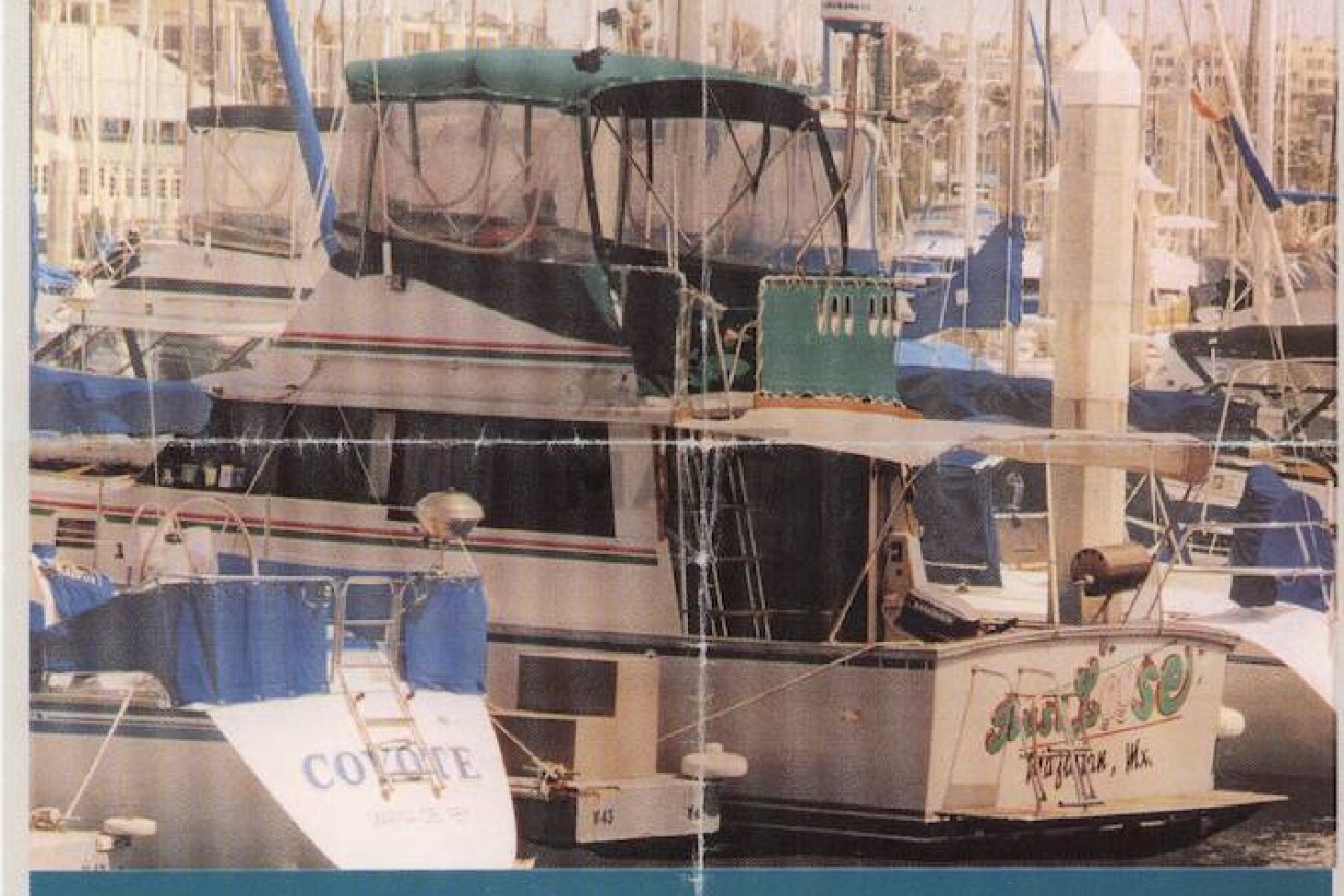 Raymond Pettibon, Jason Rhoades, Hans Weigand