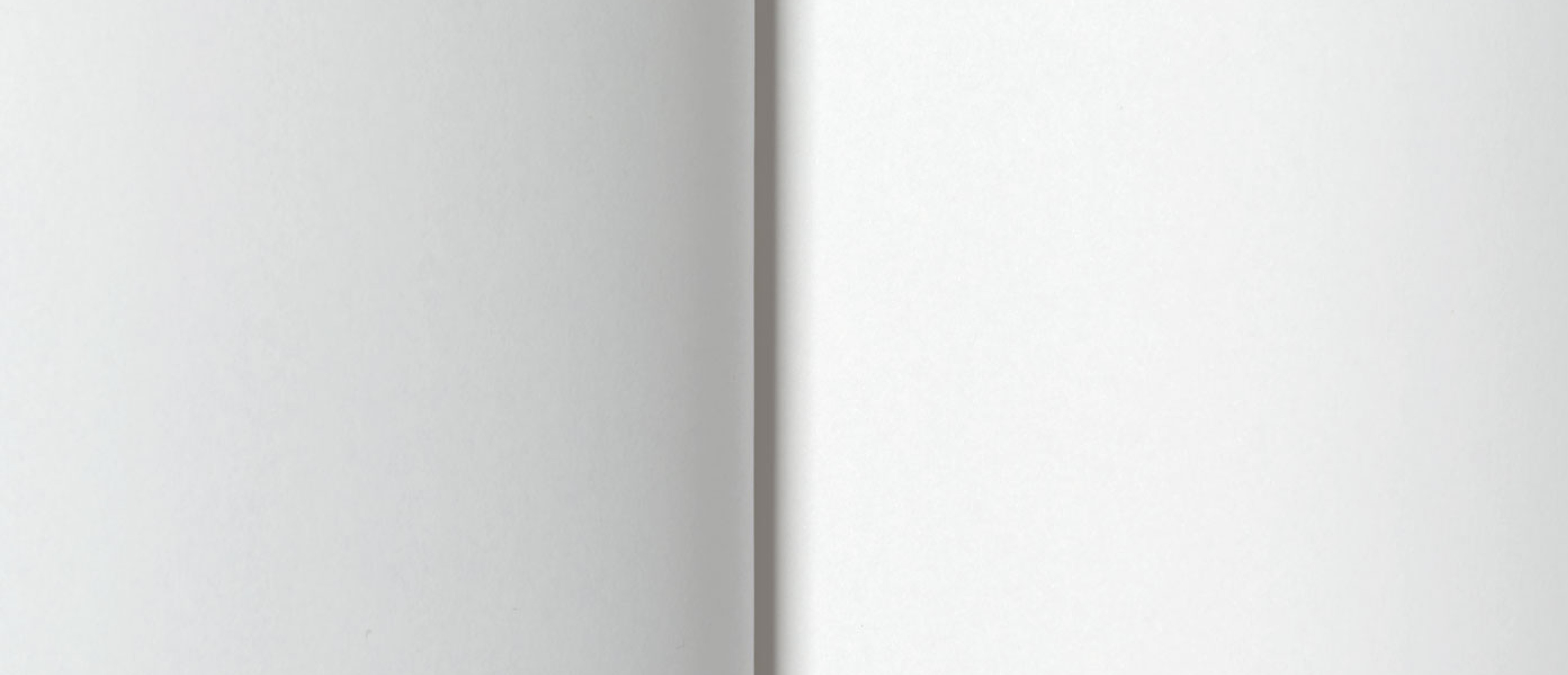 Aufgeschlagenes Buch mit leeren Seiten