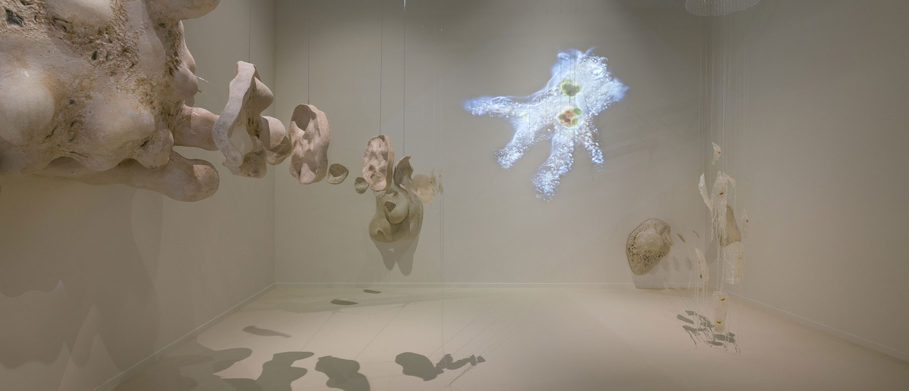 Ausstellungsraum mit Installation: 40.000-fache Vergrößerung einer Amöbe