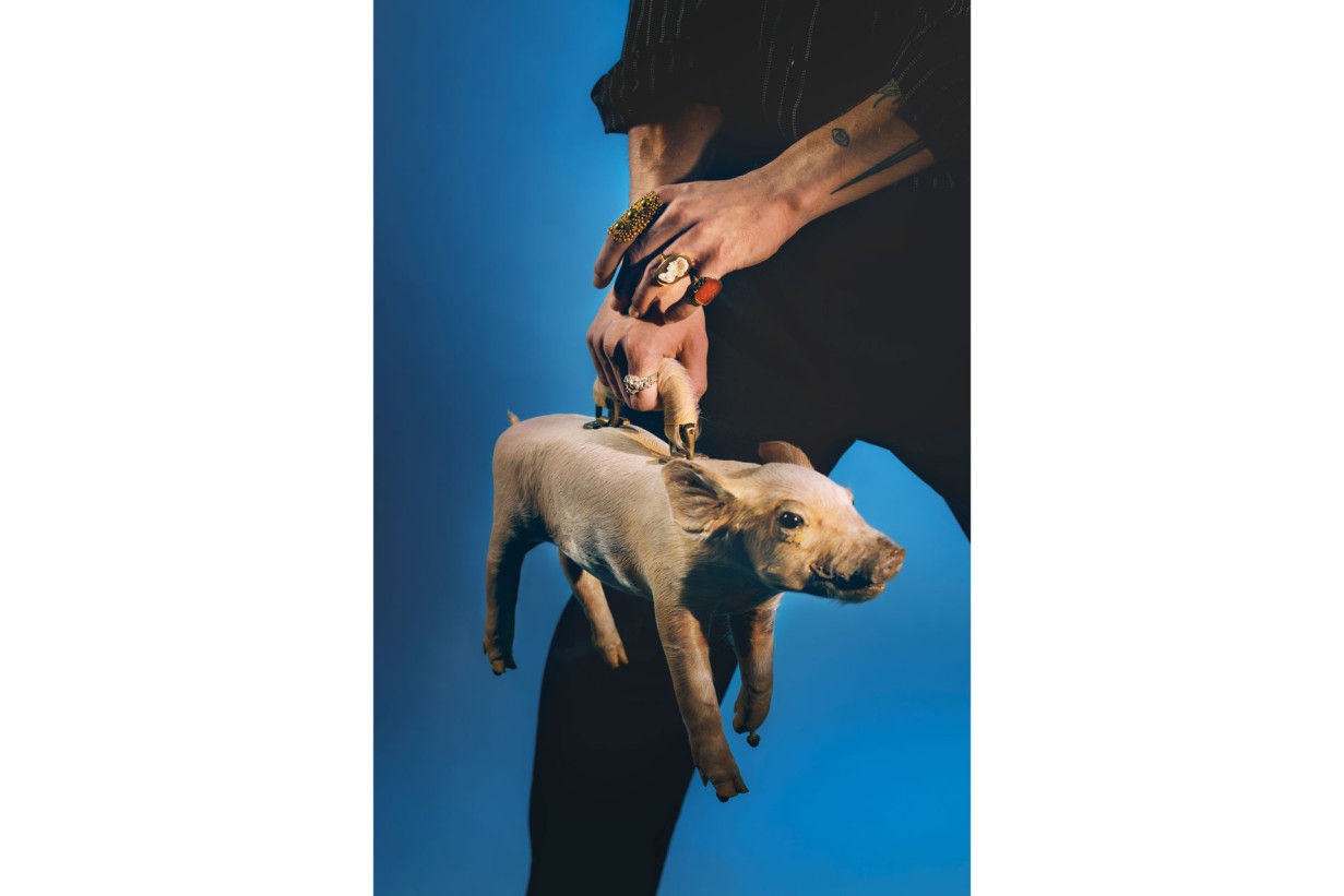 Eine Person hält eine Tasche, die aus einem Schwein gemacht wurde