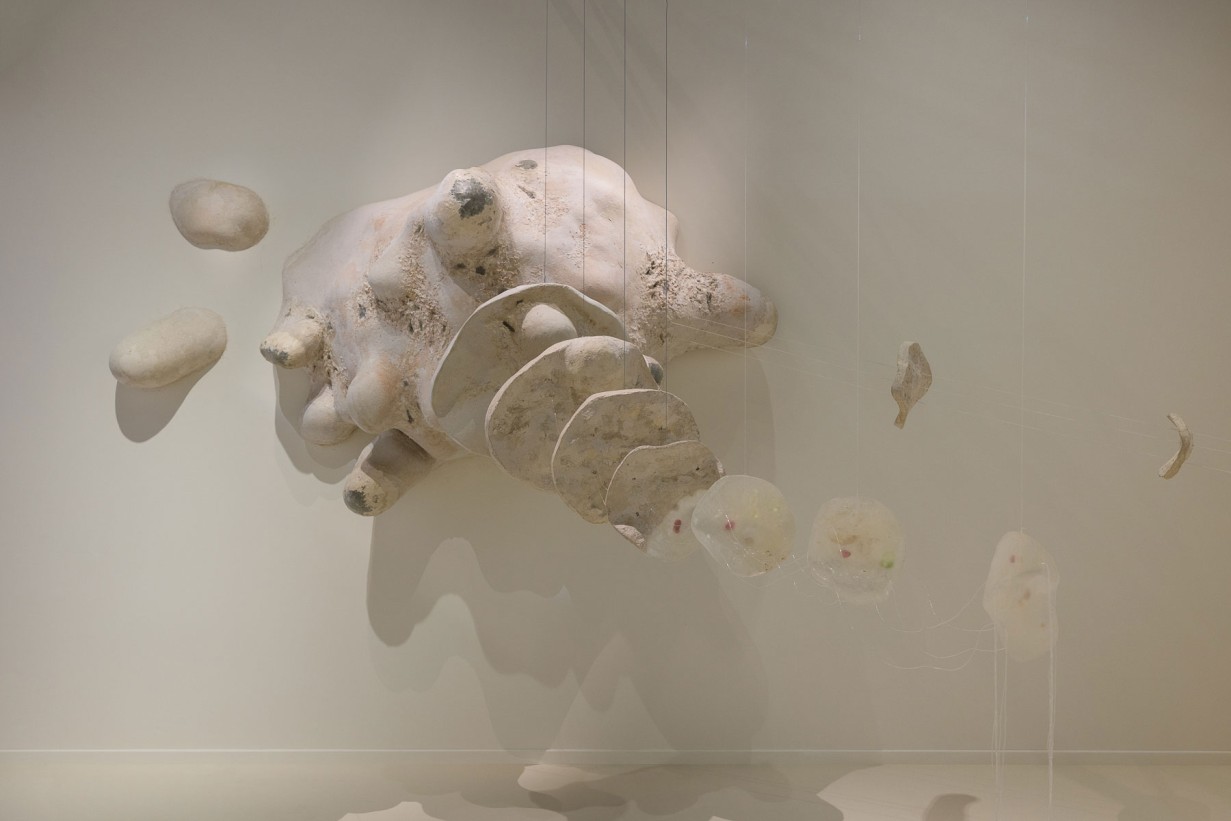 Ausstellungsraum mit Installation: 40.000-fache Vergrößerung einer Amöbe